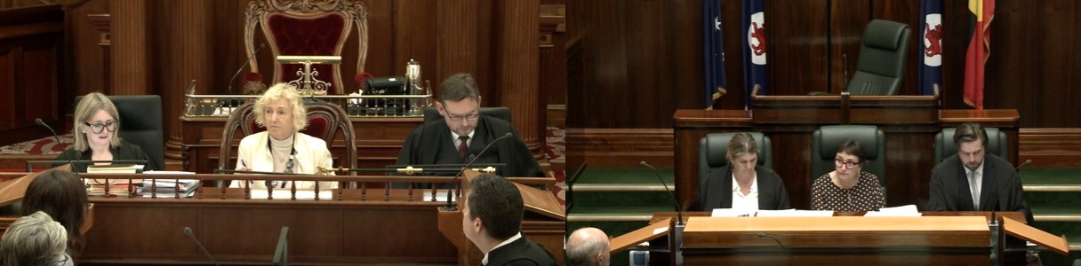 Chair of Committees of the Council and of the House