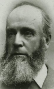 George Wilson